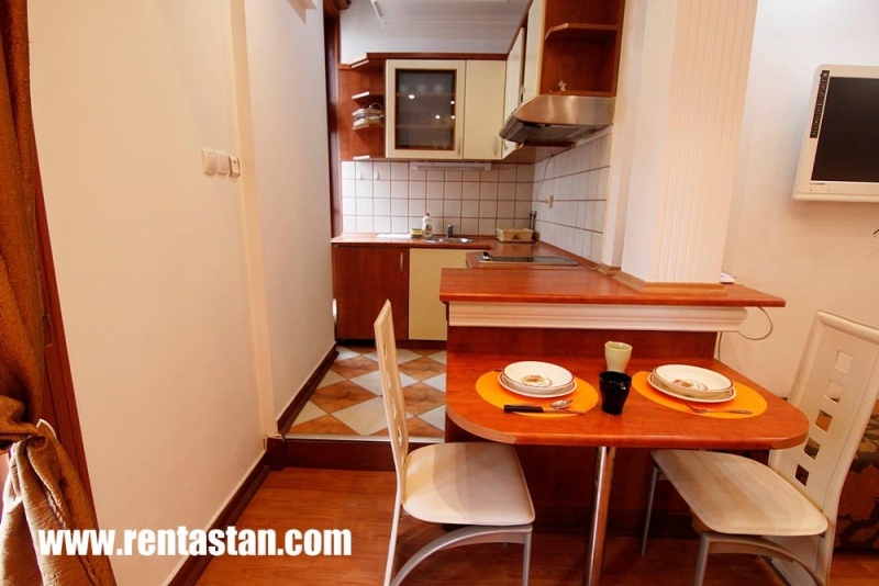 Apartment for a day near Republic Square - kitchen2