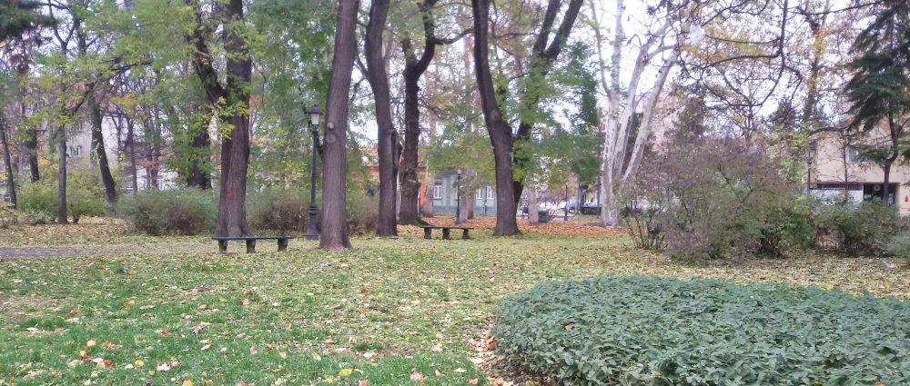 zemun park